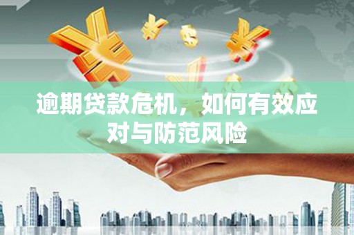曲麻莱逾期贷款危机，如何有效应对与防范风险