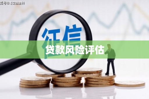 曲麻莱贷款风险评估