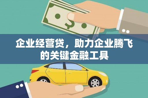曲麻莱企业经营贷，助力企业腾飞的关键金融工具