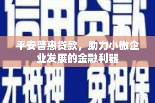 曲麻莱平安普惠贷款，助力小微企业发展的金融利器