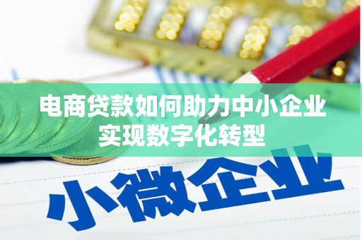 曲麻莱电商贷款如何助力中小企业实现数字化转型
