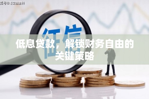 曲麻莱低息贷款，解锁财务自由的关键策略