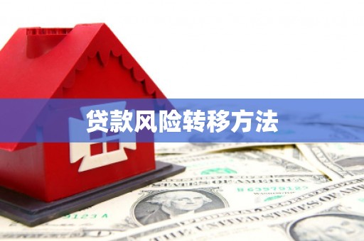 曲麻莱贷款风险转移方法