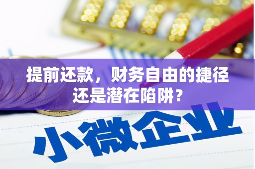 曲麻莱提前还款，财务自由的捷径还是潜在陷阱？