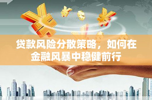 曲麻莱贷款风险分散策略，如何在金融风暴中稳健前行