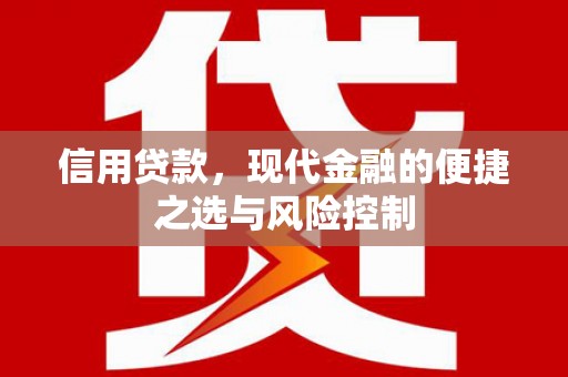 曲麻莱信用贷款，现代金融的便捷之选与风险控制