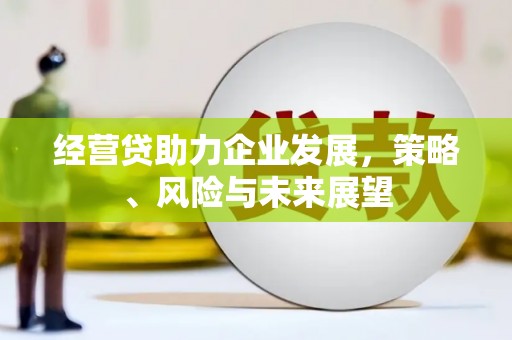 曲麻莱经营贷助力企业发展，策略、风险与未来展望
