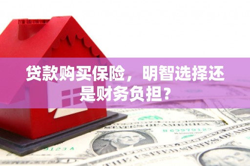 曲麻莱贷款购买保险，明智选择还是财务负担？