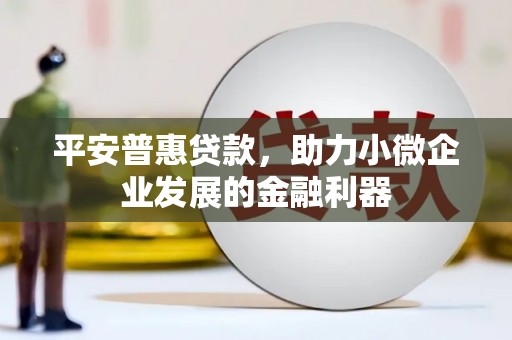 曲麻莱平安普惠贷款，助力小微企业发展的金融利器