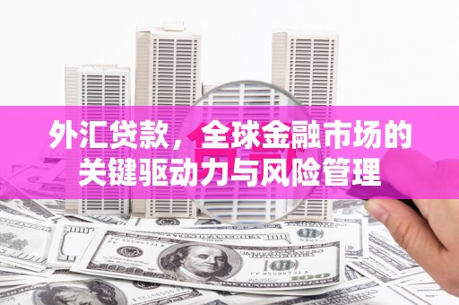 曲麻莱外汇贷款，全球金融市场的关键驱动力与风险管理