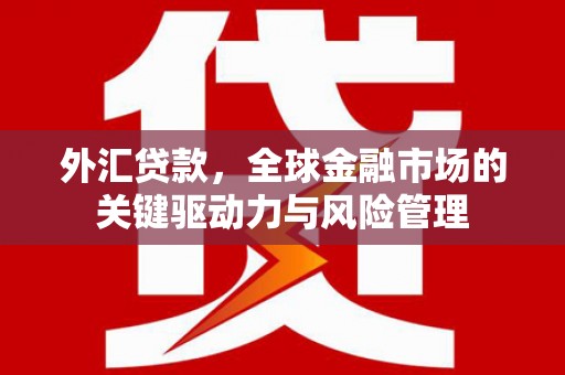 曲麻莱外汇贷款，全球金融市场的关键驱动力与风险管理
