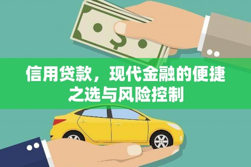曲麻莱信用贷款，现代金融的便捷之选与风险控制