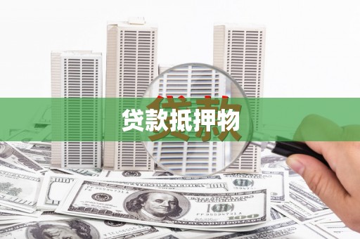 曲麻莱贷款抵押物