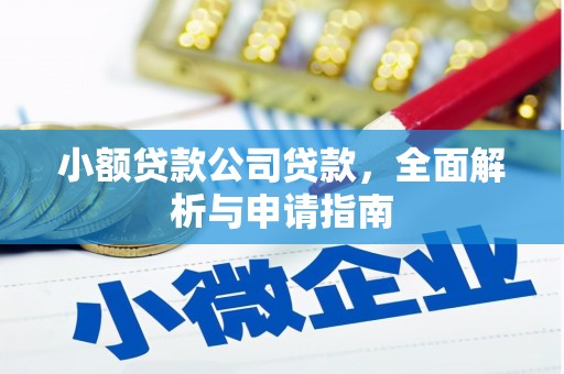 曲麻莱小额贷款公司贷款，全面解析与申请指南