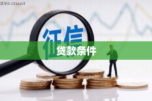 曲麻莱贷款条件