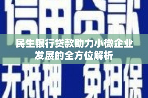 曲麻莱民生银行贷款助力小微企业发展的全方位解析