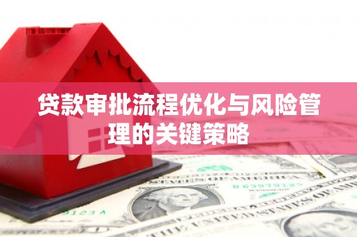 曲麻莱贷款审批流程优化与风险管理的关键策略