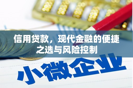 曲麻莱信用贷款，现代金融的便捷之选与风险控制