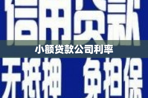 曲麻莱小额贷款公司利率