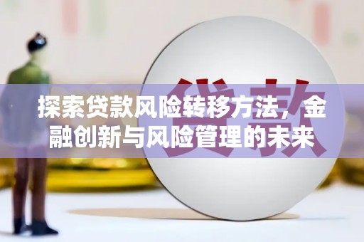 曲麻莱探索贷款风险转移方法，金融创新与风险管理的未来
