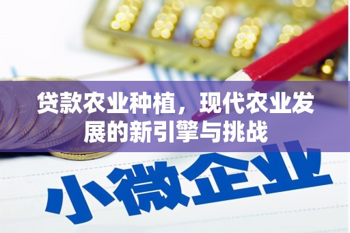 曲麻莱贷款农业种植，现代农业发展的新引擎与挑战
