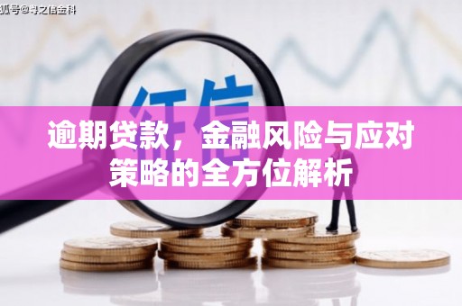 曲麻莱逾期贷款，金融风险与应对策略的全方位解析