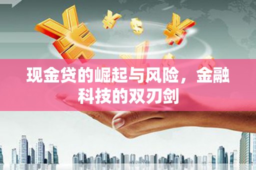 曲麻莱现金贷的崛起与风险，金融科技的双刃剑