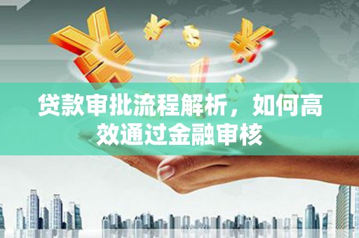 曲麻莱贷款审批流程解析，如何高效通过金融审核