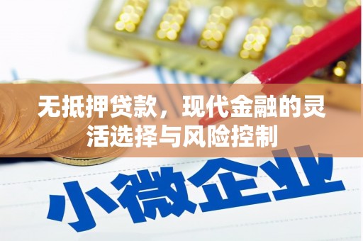 曲麻莱无抵押贷款，现代金融的灵活选择与风险控制