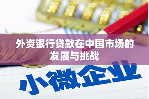 曲麻莱外资银行贷款在中国市场的发展与挑战
