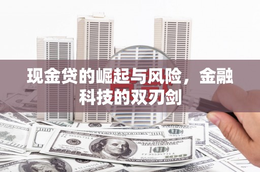 曲麻莱现金贷的崛起与风险，金融科技的双刃剑