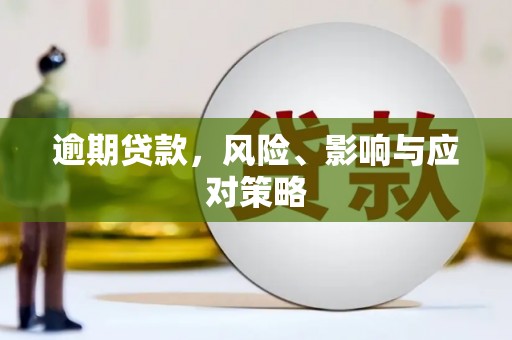 曲麻莱逾期贷款，风险、影响与应对策略