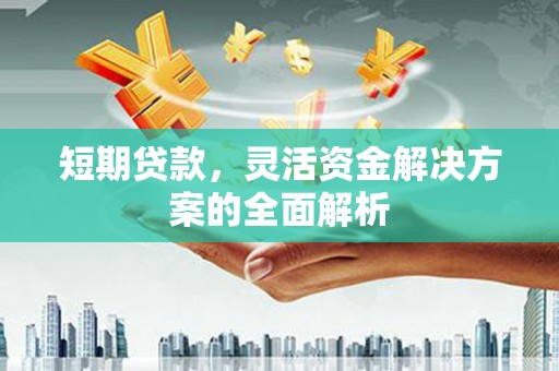 曲麻莱短期贷款，灵活资金解决方案的全面解析