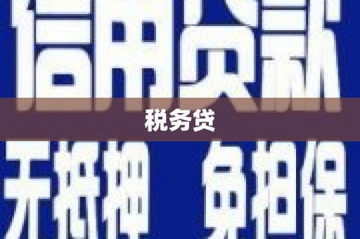 曲麻莱税务贷