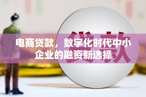 曲麻莱电商贷款，数字化时代中小企业的融资新选择