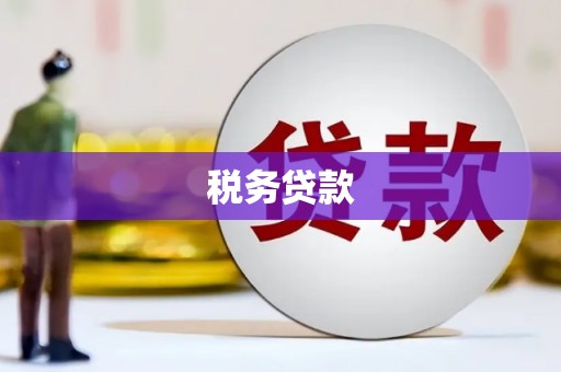 曲麻莱税务贷款
