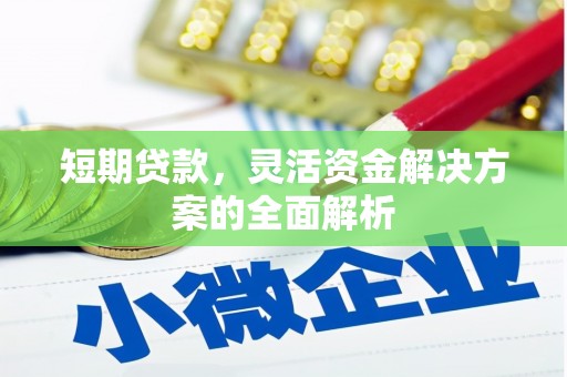 曲麻莱短期贷款，灵活资金解决方案的全面解析