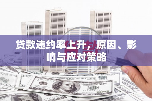 曲麻莱贷款违约率上升，原因、影响与应对策略
