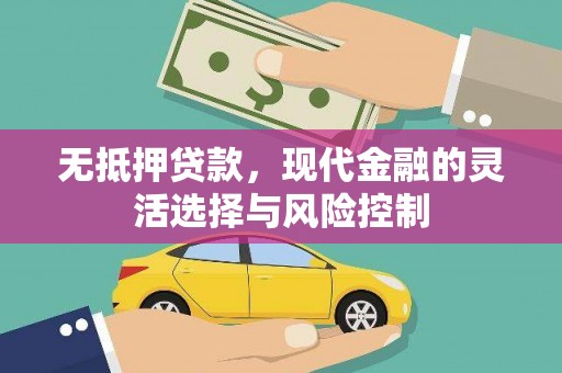 曲麻莱无抵押贷款，现代金融的灵活选择与风险控制