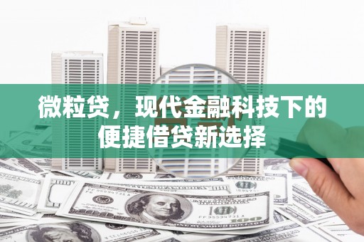 曲麻莱微粒贷，现代金融科技下的便捷借贷新选择