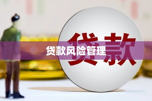 曲麻莱贷款风险管理
