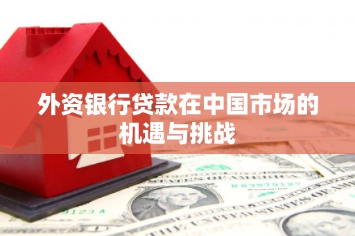 曲麻莱外资银行贷款在中国市场的机遇与挑战