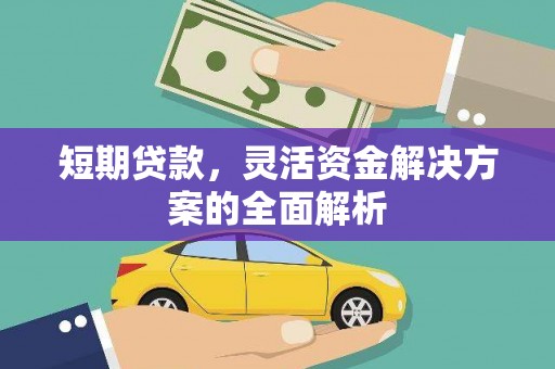 曲麻莱短期贷款，灵活资金解决方案的全面解析