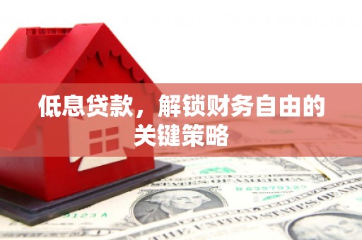 曲麻莱低息贷款，解锁财务自由的关键策略