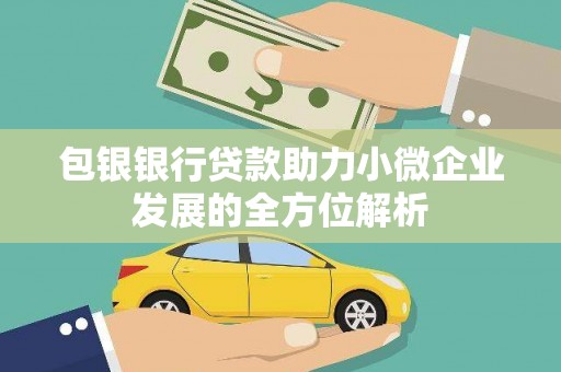 曲麻莱包银银行贷款助力小微企业发展的全方位解析