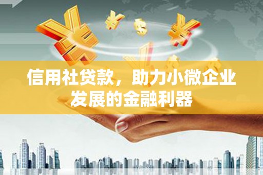 曲麻莱信用社贷款，助力小微企业发展的金融利器