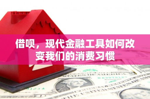 曲麻莱借呗，现代金融工具如何改变我们的消费习惯