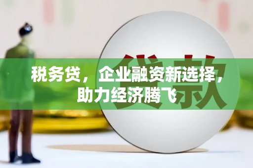 曲麻莱税务贷，企业融资新选择，助力经济腾飞