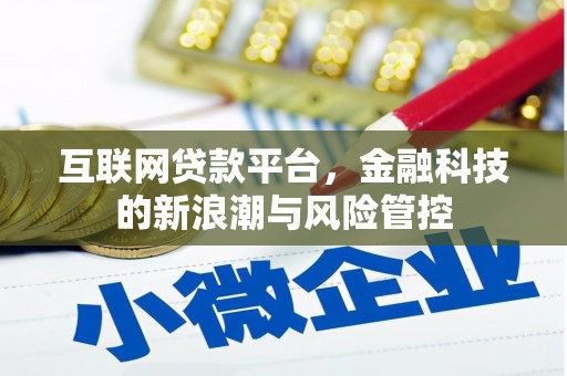曲麻莱互联网贷款平台，金融科技的新浪潮与风险管控