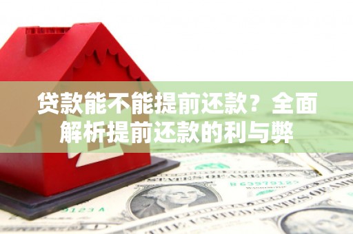 曲麻莱贷款能不能提前还款？全面解析提前还款的利与弊